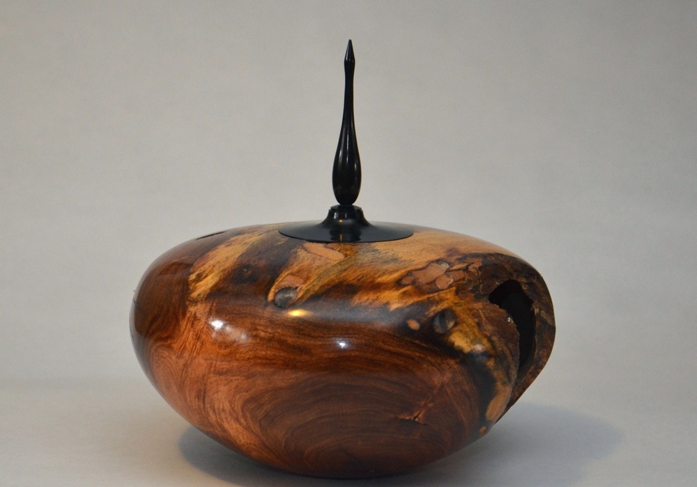 Mesquite NE Hollow Form